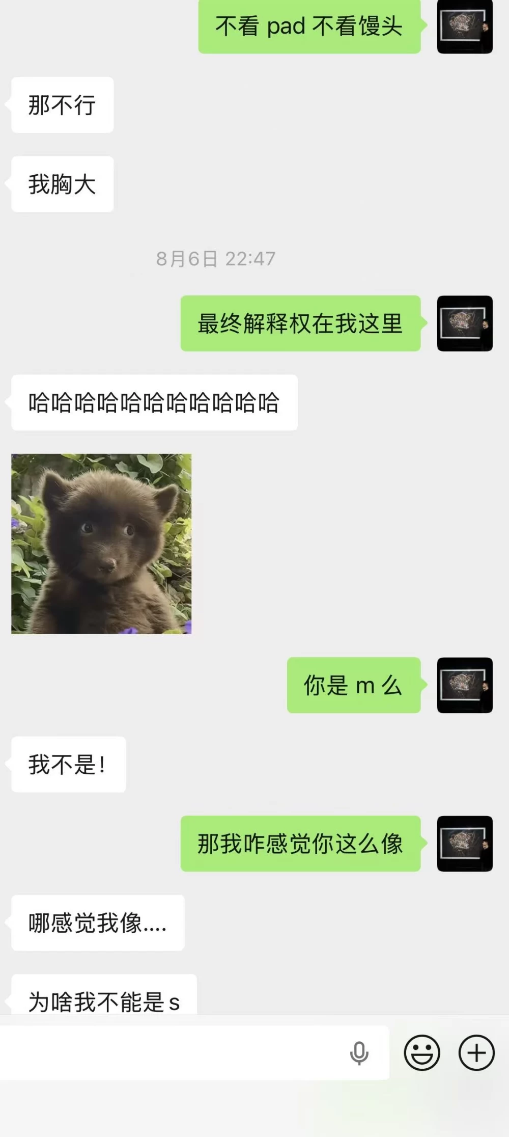 微信图片_20260817224540_642_2.jpg